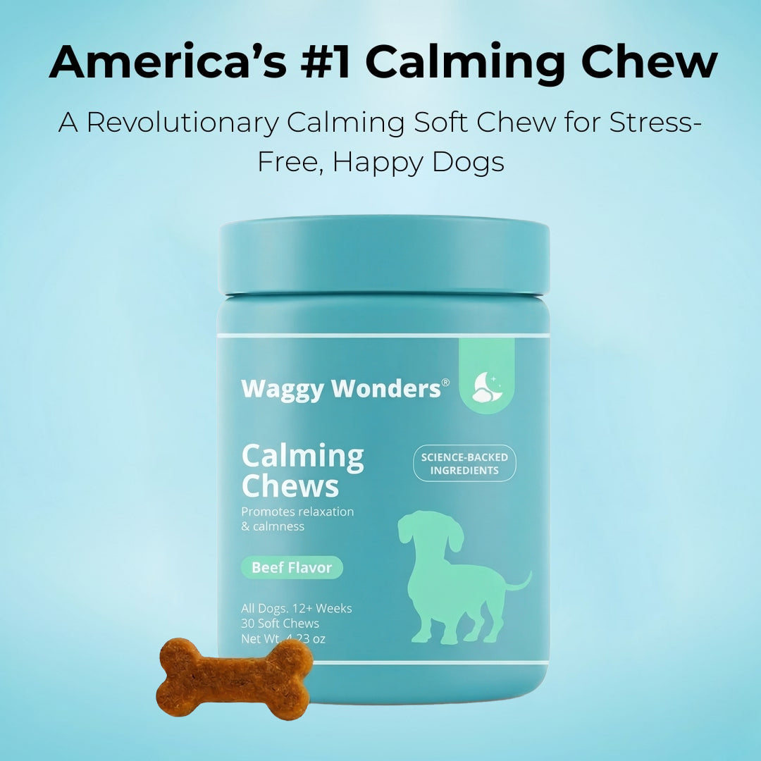 Waggy Wonders Calming Chews - 1 Jar