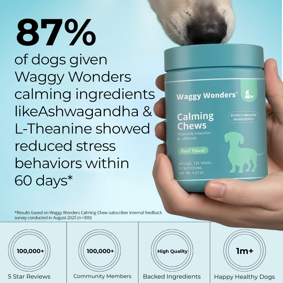 Waggy Wonders Calming Chews - 1 Jar